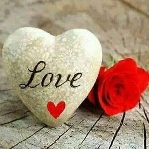 Meet your Posher, Luna